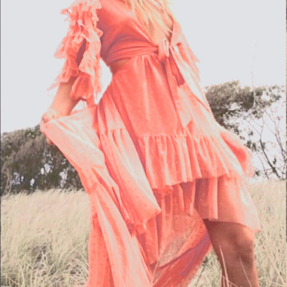 Spell & The Gypsy Grace Cut-out Sheer Tulle Gown Peach Small NWT $800+